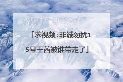 求视频:非诚勿扰15号王茜被谁带走了