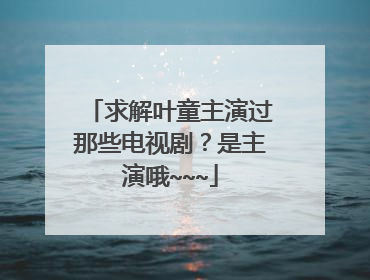 求解叶童主演过那些电视剧？是主演哦~~~