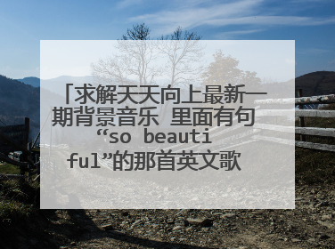 求解天天向上最新一期背景音乐 里面有句“so beautiful”的那首英文歌 。 2011年03月25日的那期