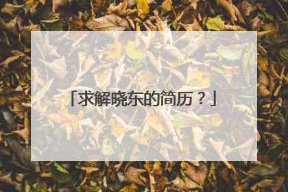 求解晓东的简历?