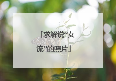 求解说“女流”的照片