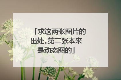 求这两张图片的出处,第二张本来是动态图的