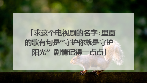 求这个电视剧的名字:里面的歌有句是“守护你就是守护阳光” 剧情记得一点点