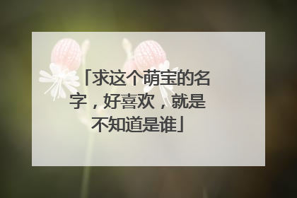 求这个萌宝的名字,好喜欢,就是不知道是谁