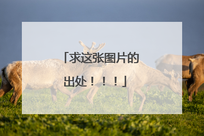 求这张图片的出处！！！