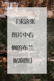 求这张图片中右侧的布兰妮原图