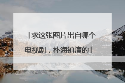 求这张图片出自哪个电视剧,朴海镇演的