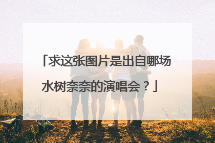 求这张图片是出自哪场水树奈奈的演唱会？