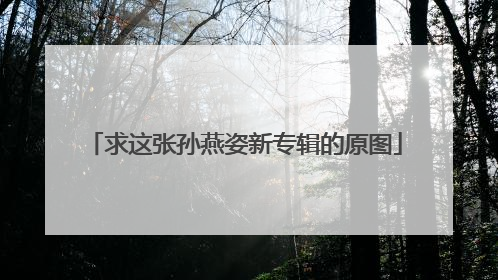 求这张孙燕姿新专辑的原图