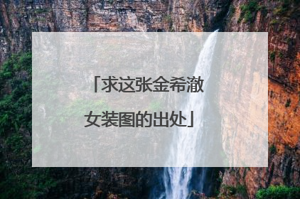 求这张金希澈女装图的出处