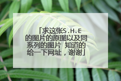 求这张S.H.E的图片的原图以及同系列的图片 知道的给一下网址,谢谢