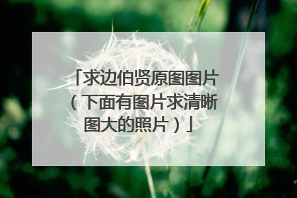 求边伯贤原图图片（下面有图片求清晰图大的照片）