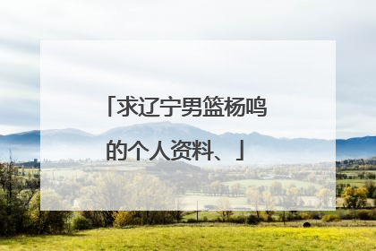 求辽宁男篮杨鸣的个人资料、