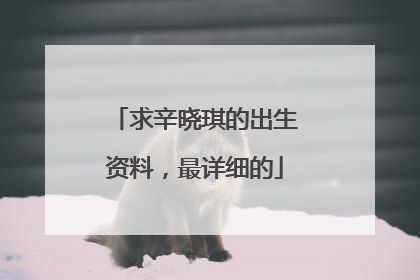 求辛晓琪的出生资料,最详细的