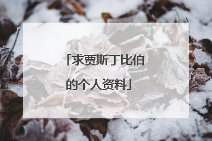 求贾斯丁比伯的个人资料