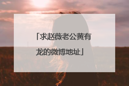 求赵薇老公黄有龙的微博地址