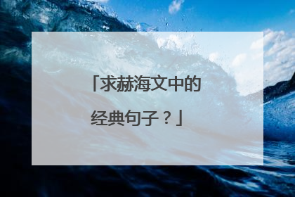 求赫海文中的经典句子？