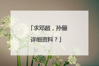 求邓超,孙俪详细资料?