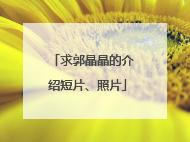 求郭晶晶的介绍短片、照片