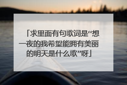 求里面有句歌词是“想一夜的我希望能拥有美丽的明天是什么歌”呀