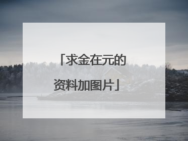 求金在元的资料加图片