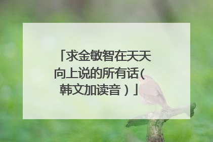 求金敏智在天天向上说的所有话(韩文加读音）