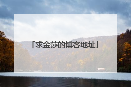 求金莎的博客地址