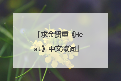 求金贤重《Heat》中文歌词