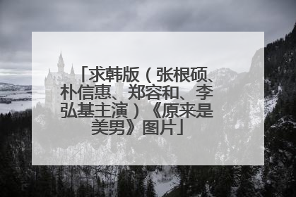 求韩版(张根硕、朴信惠、郑容和、李弘基主演)《原来是美男》图片