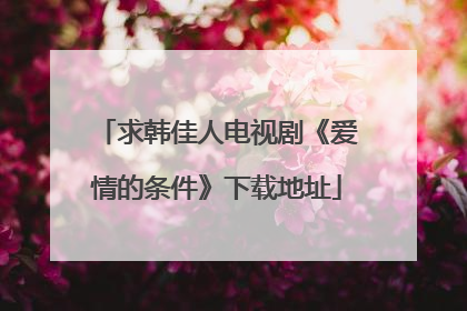 求韩佳人电视剧《爱情的条件》下载地址