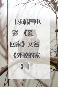 求韩国电影 《爱 回家》又名《外婆的家》