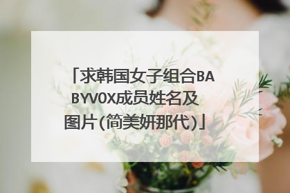 求韩国女子组合BABYVOX成员姓名及图片(简美妍那代)