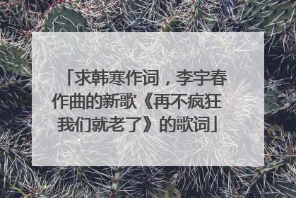 求韩寒作词，李宇春作曲的新歌《再不疯狂我们就老了》的歌词