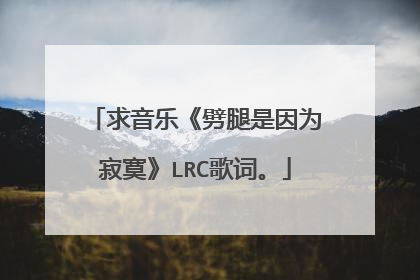 求音乐《劈腿是因为寂寞》LRC歌词。