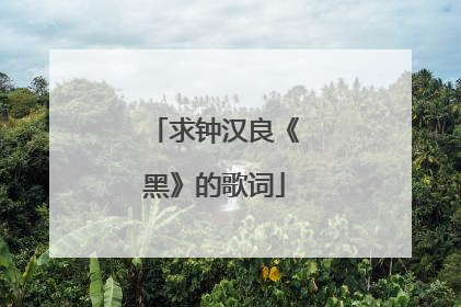 求钟汉良《黑》的歌词