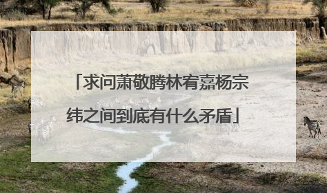 求问萧敬腾林宥嘉杨宗纬之间到底有什么矛盾