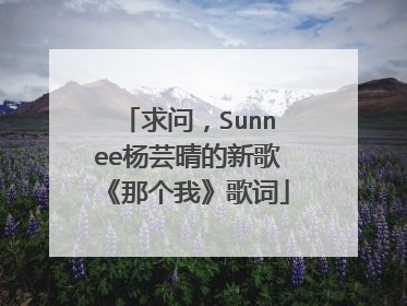 求问，Sunnee杨芸晴的新歌《那个我》歌词