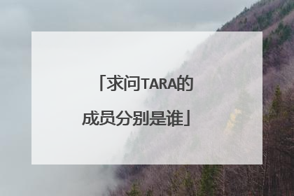 求问TARA的成员分别是谁