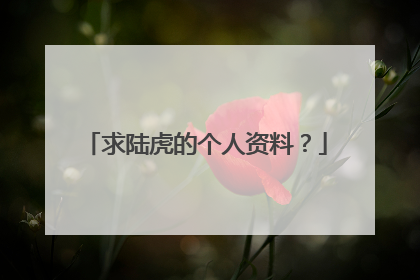 求陆虎的个人资料？