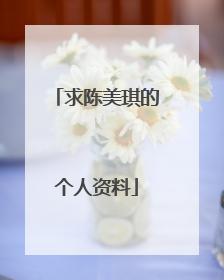 求陈美琪的个人资料