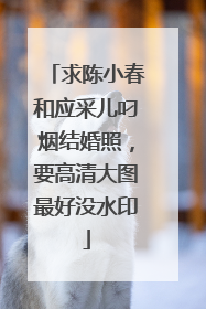 求陈小春和应采儿叼烟结婚照，要高清大图最好没水印