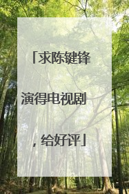 求陈键锋演得电视剧，给好评