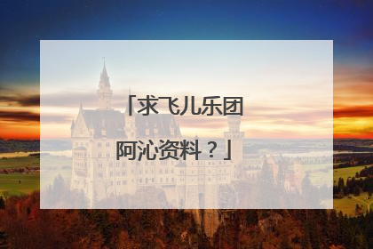 求飞儿乐团阿沁资料？