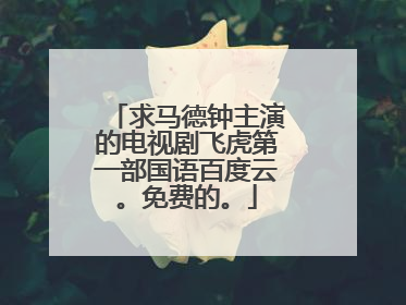求马德钟主演的电视剧飞虎第一部国语百度云。免费的。