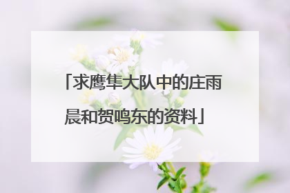 求鹰隼大队中的庄雨晨和贺鸣东的资料
