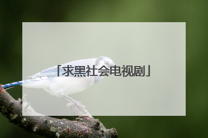 求黑社会电视剧