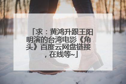 求:黄鸿升跟王阳明演的台湾电影《角头》百度云网盘链接,在线等~