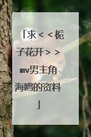 求＜＜栀子花开＞＞mv男主角海鸥的资料