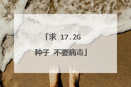 求 17.2G 种子 不要病毒