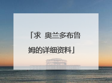 求 奥兰多布鲁姆的详细资料